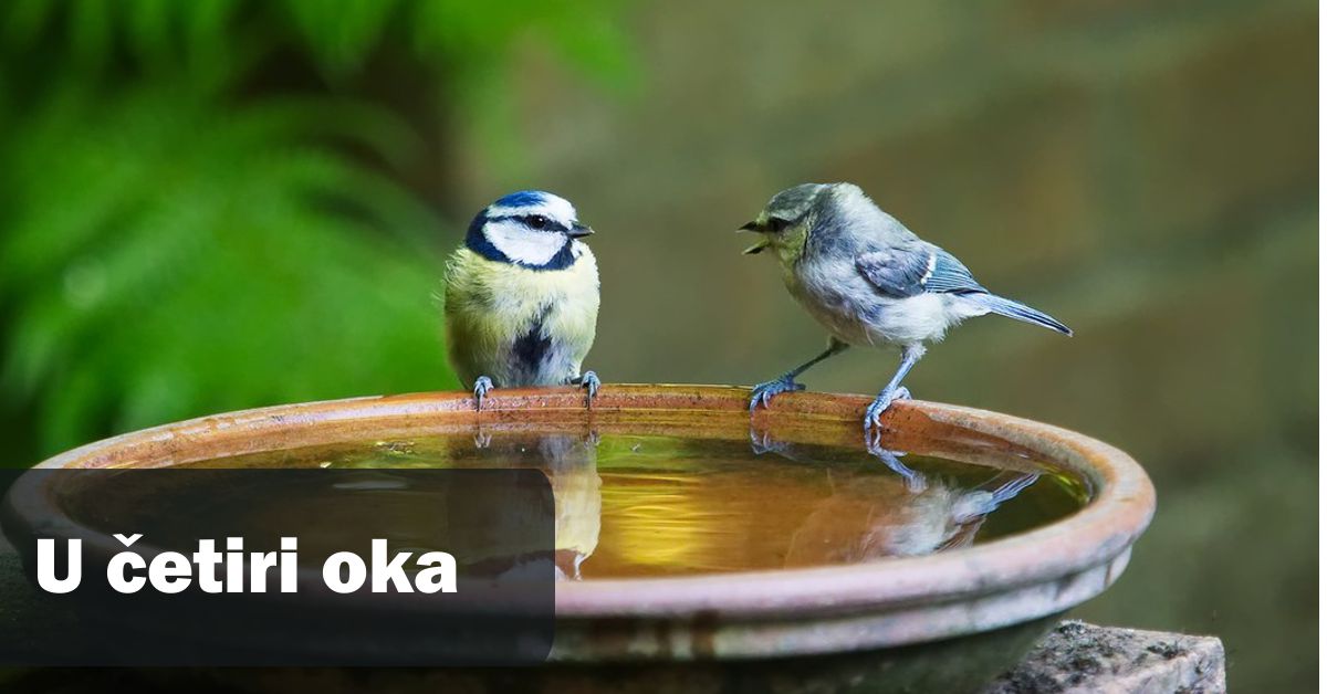 Poslovna komunikacija